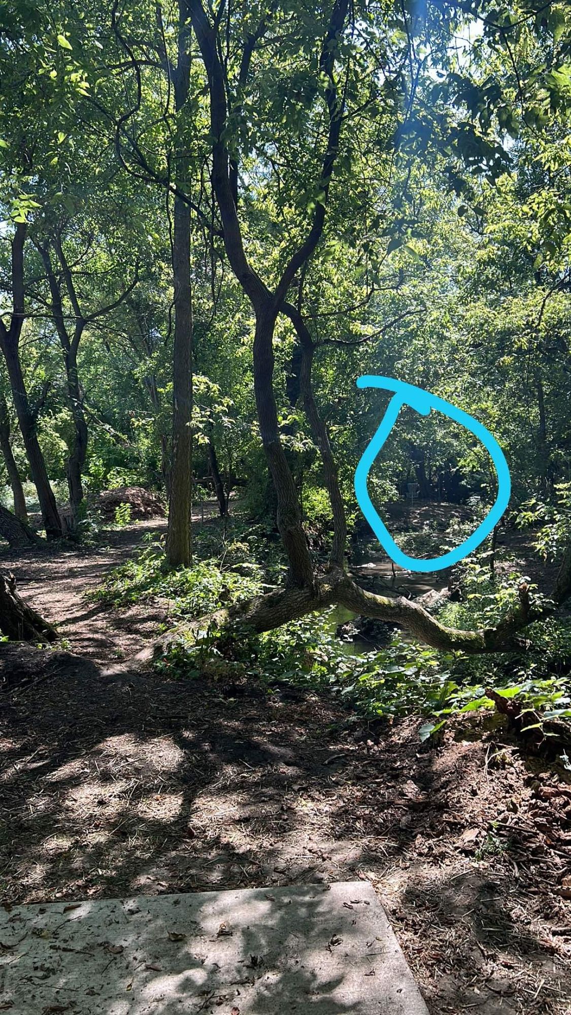 Hole 16