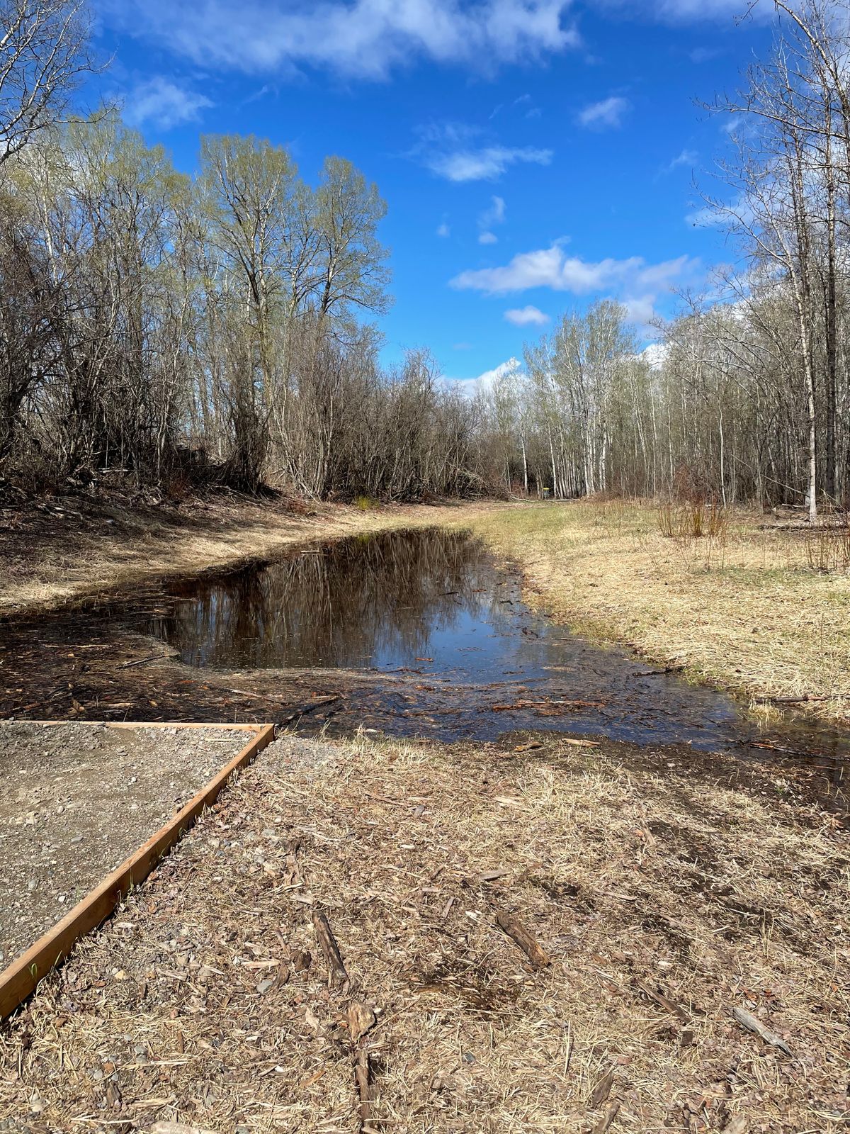 Hole 6 partially flooded from a high river