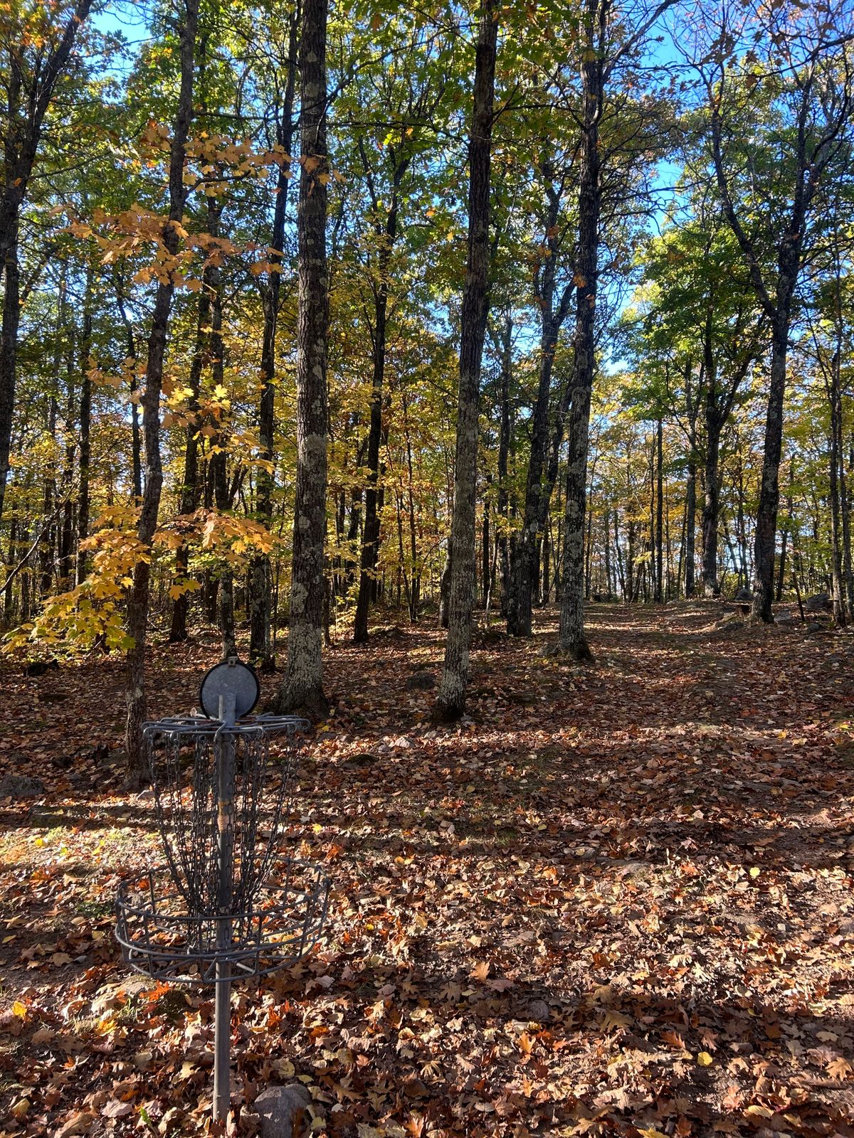 Hole 10 tunnel looking back down fairway