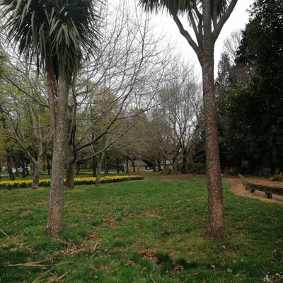 Hole 9