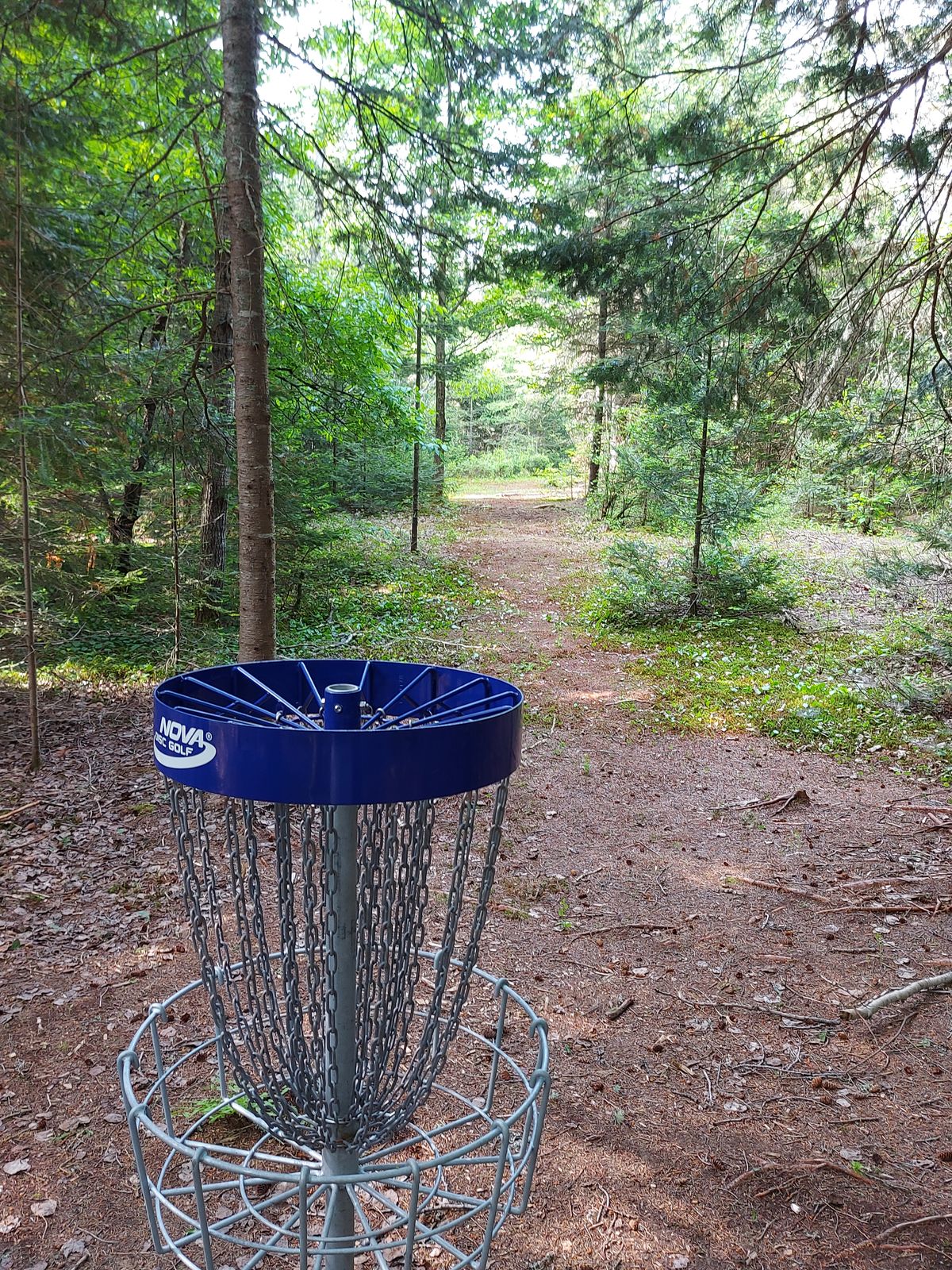 Reverse back up the fairway on hole 7. 🍁🌲🍁🌲🍁🌲