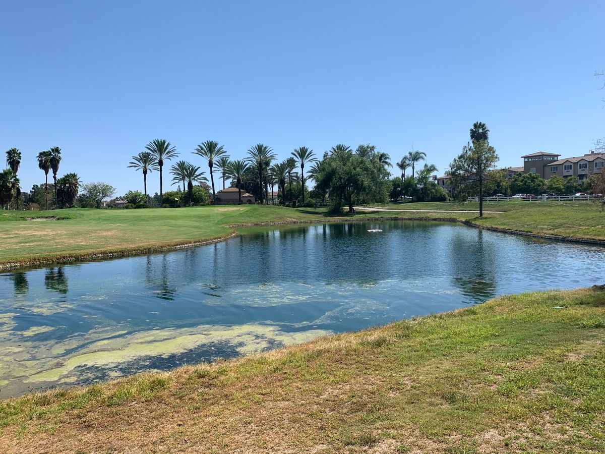Omega Hole 18