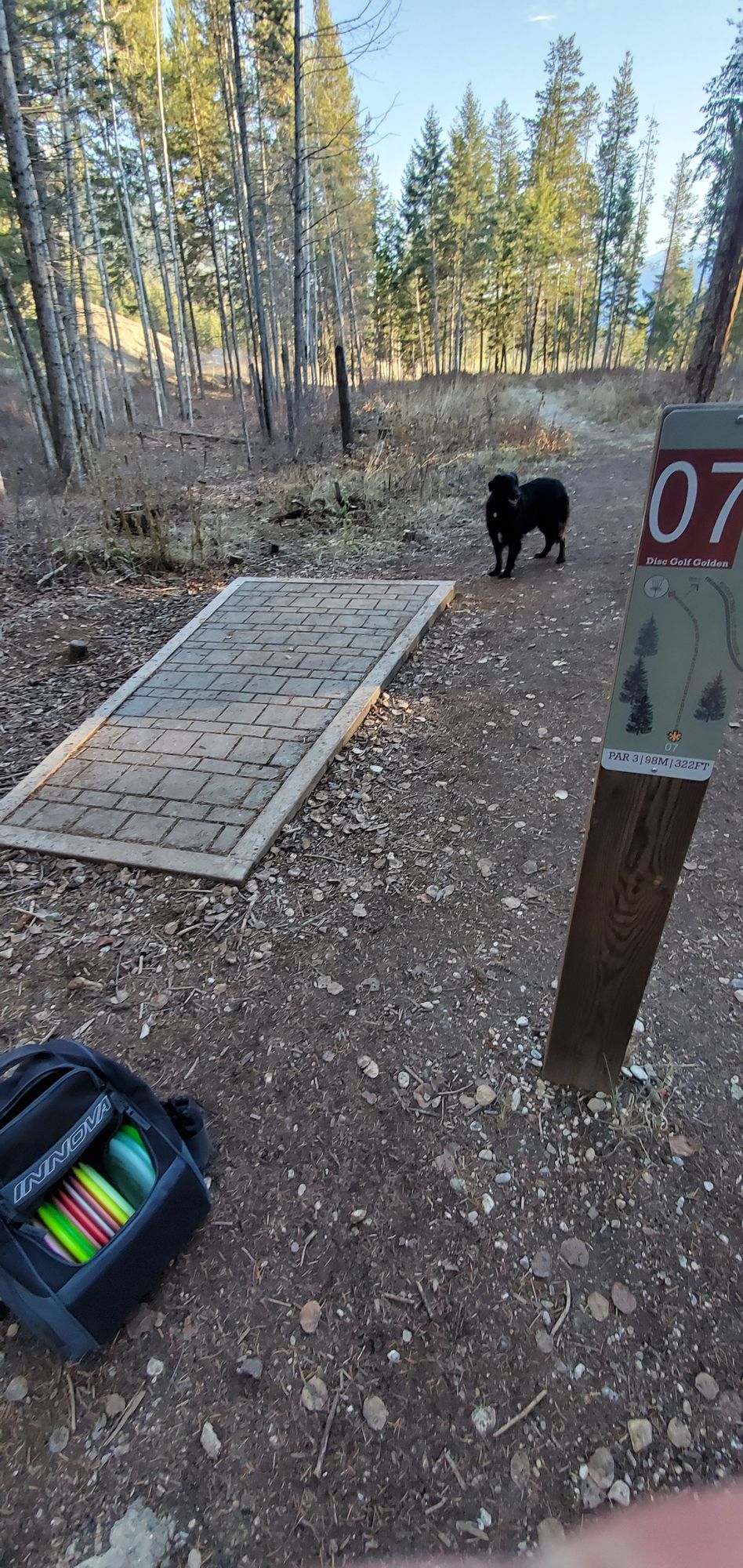 Hole 7