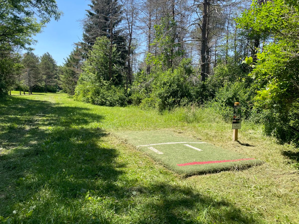 Hole 15, Orange (Short) tee.