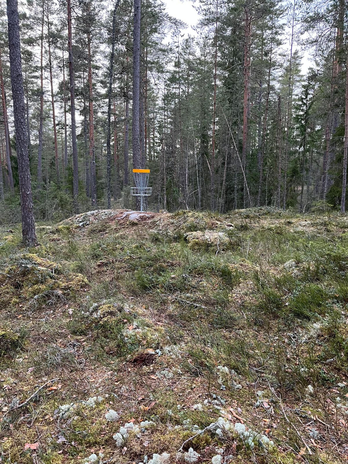 Korg hål 5