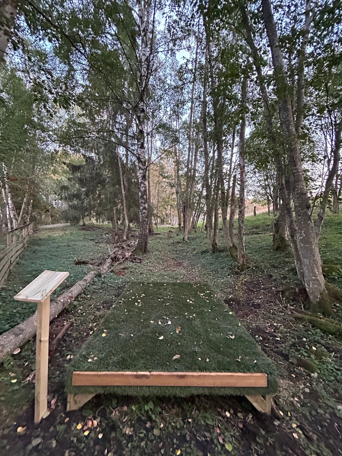 Teepad hole 8