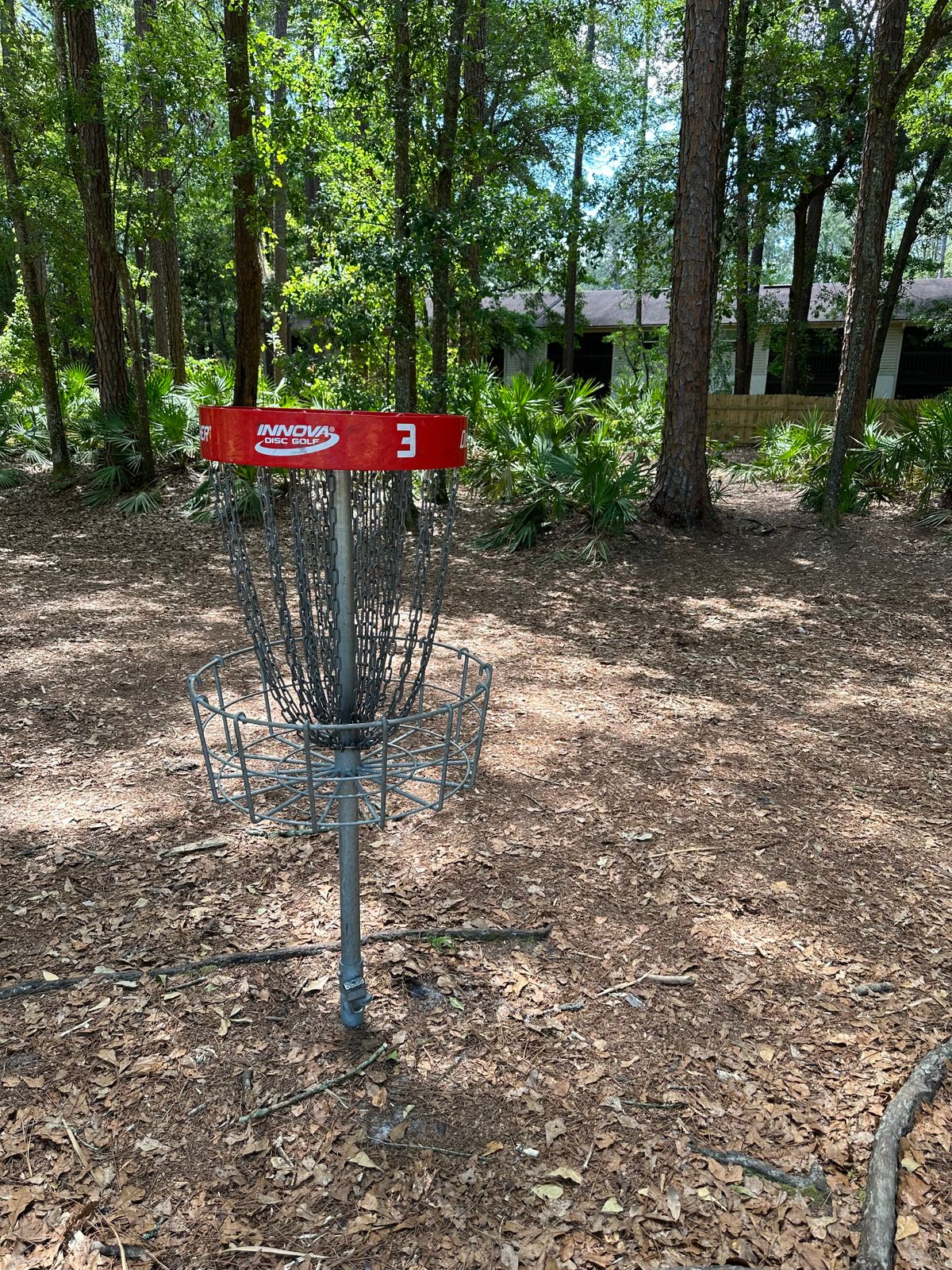 Hole 3 basket