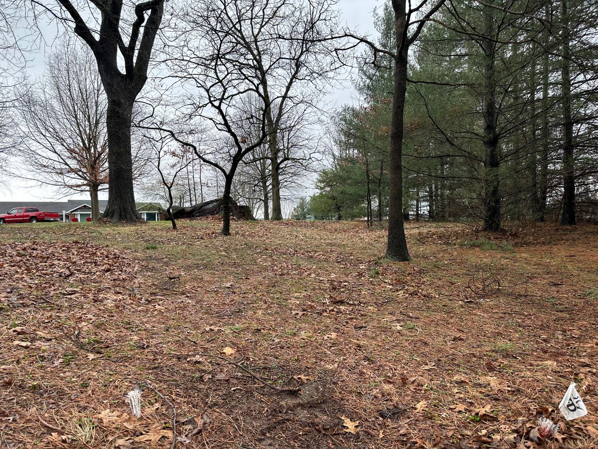 Hole 12 down the fairway.