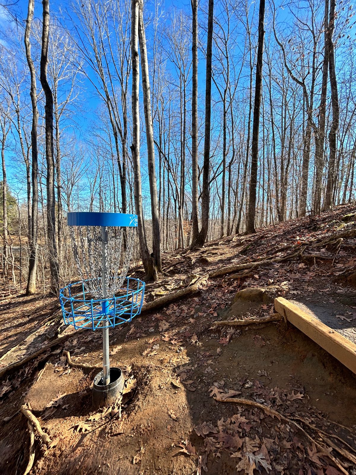 New baskets ‘23 hole 11