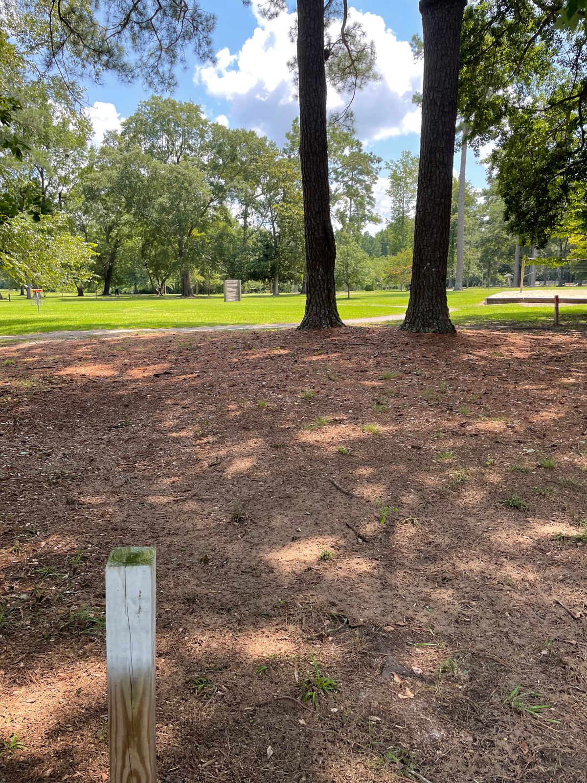 From the White Tee. Note Between trees is a double mando but most players will flip a disc and call heads to play it or not.