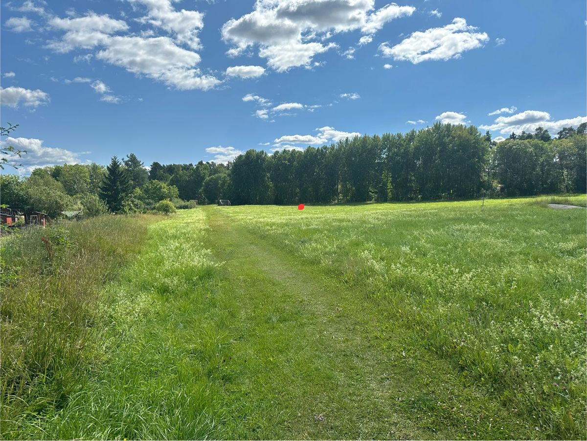 Basket hole 5 marked in red.