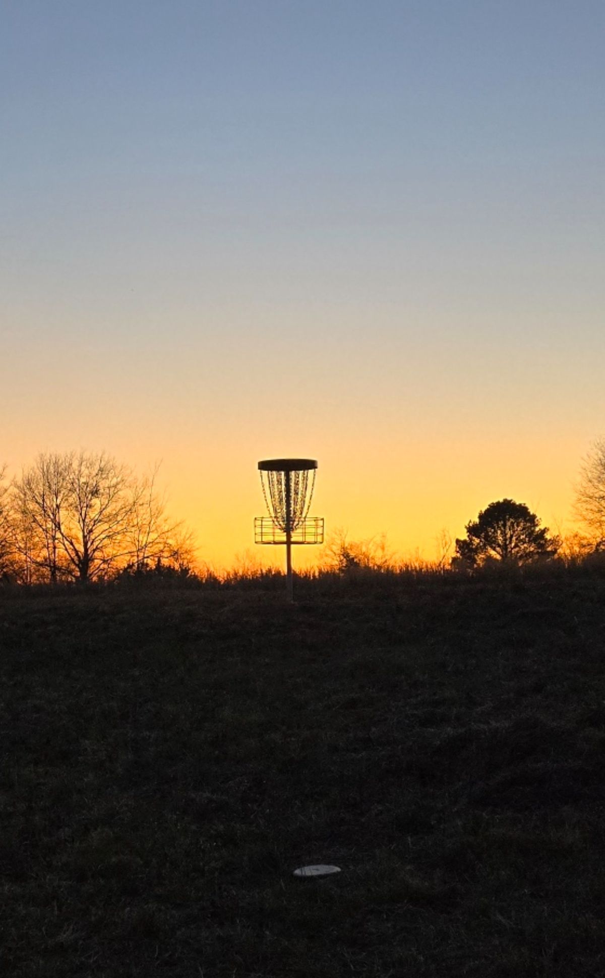 16 Gold at sunset!