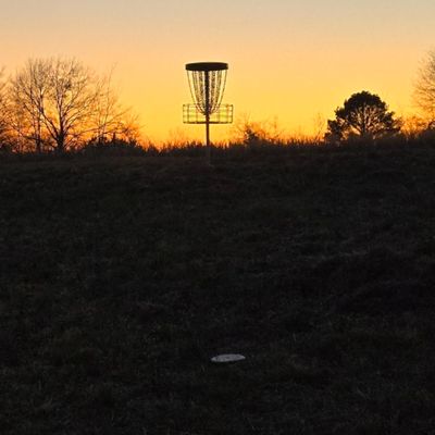 16 Gold at sunset!