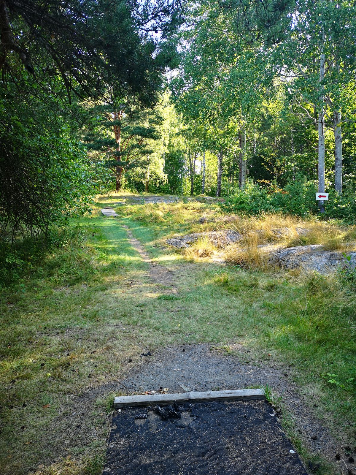 Tee 16