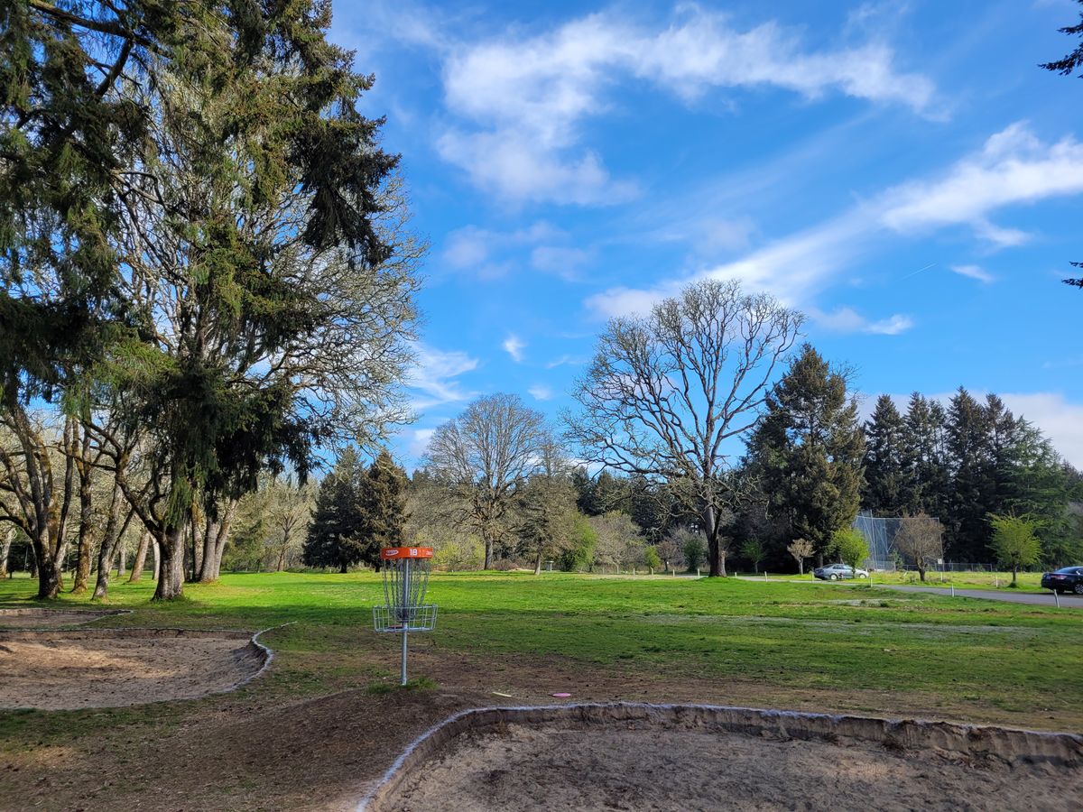 Hole #18 basket in the spring