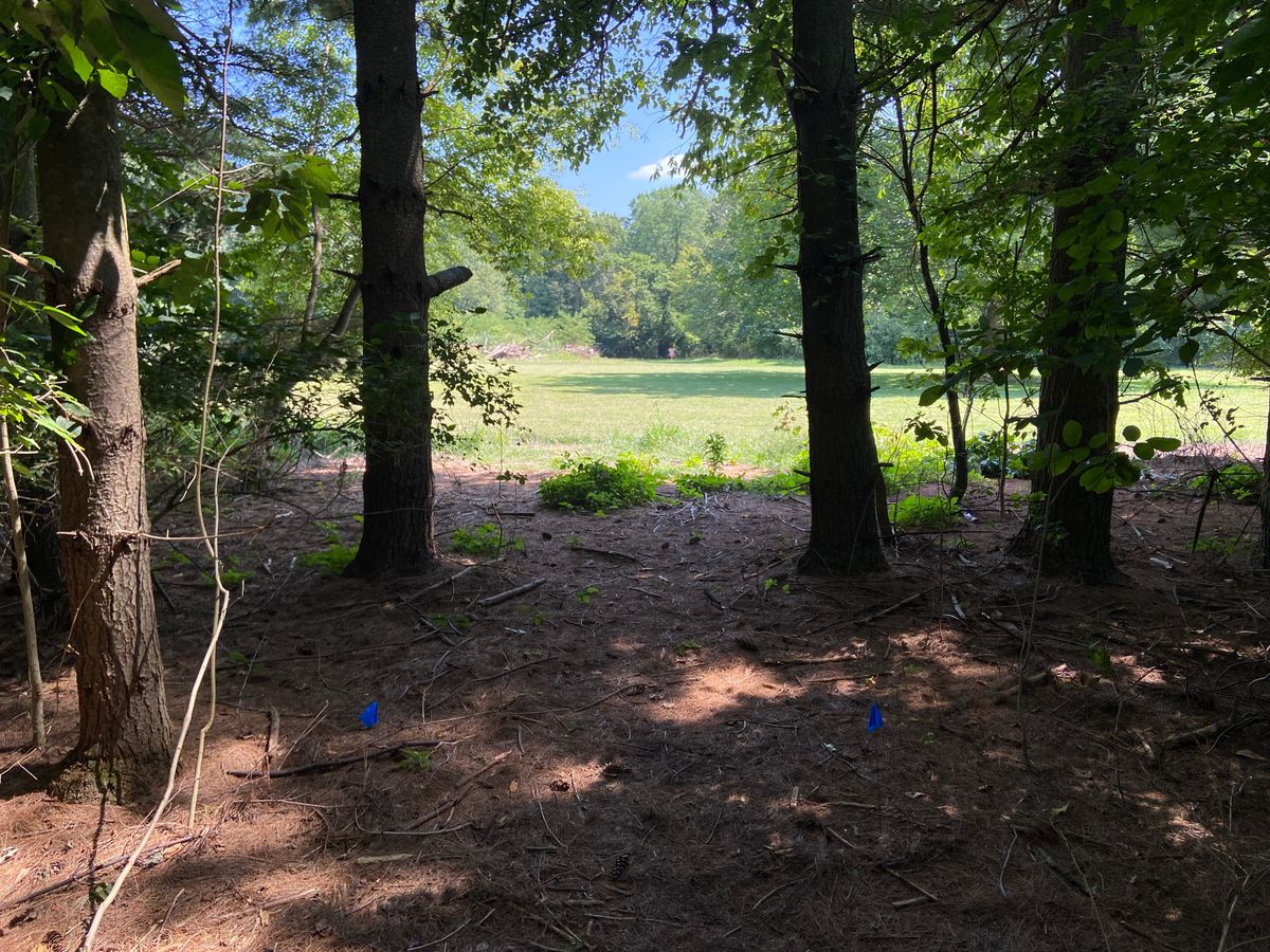 Hole 6 tee pad