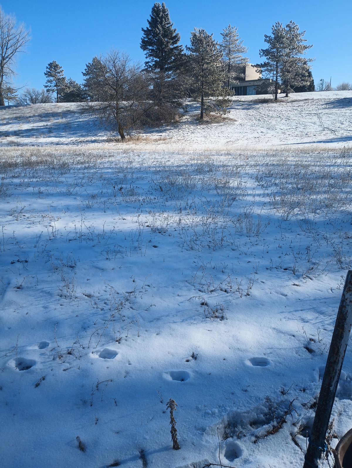 Hole four from the tee.