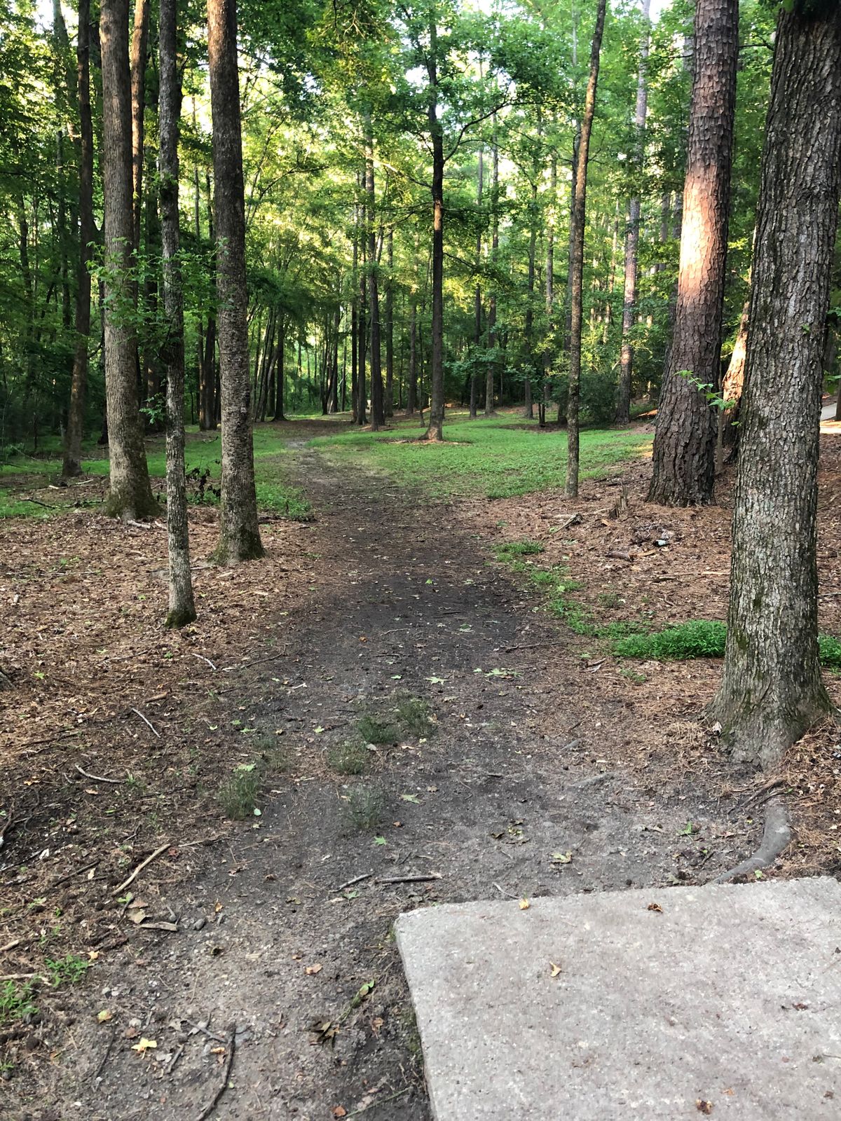 Hole 8 tee.