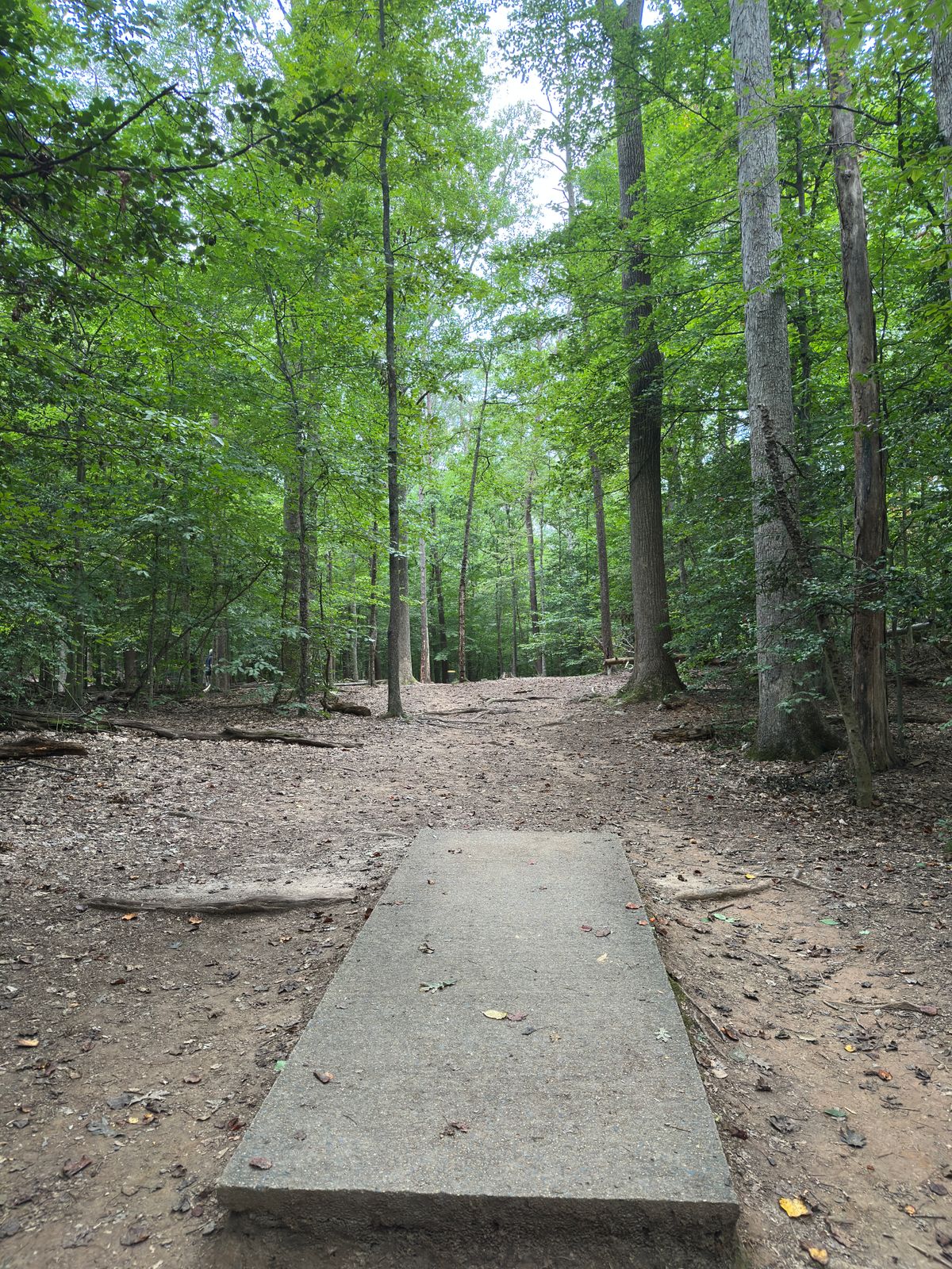 Hole 6 red tee
