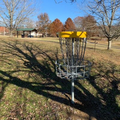 Basket #6 with Tee in background