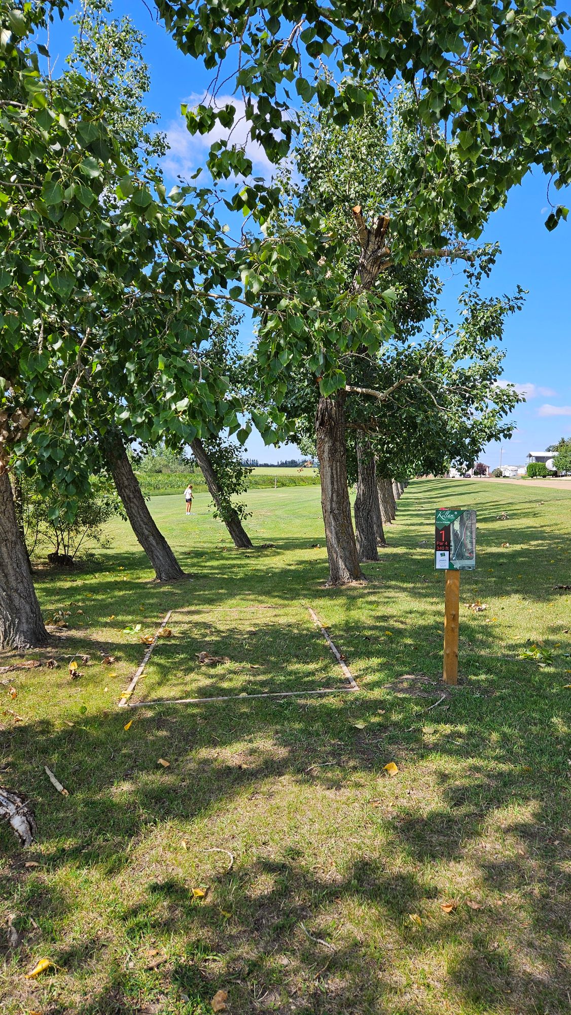 Hole 1 Red Tees looking at fairway