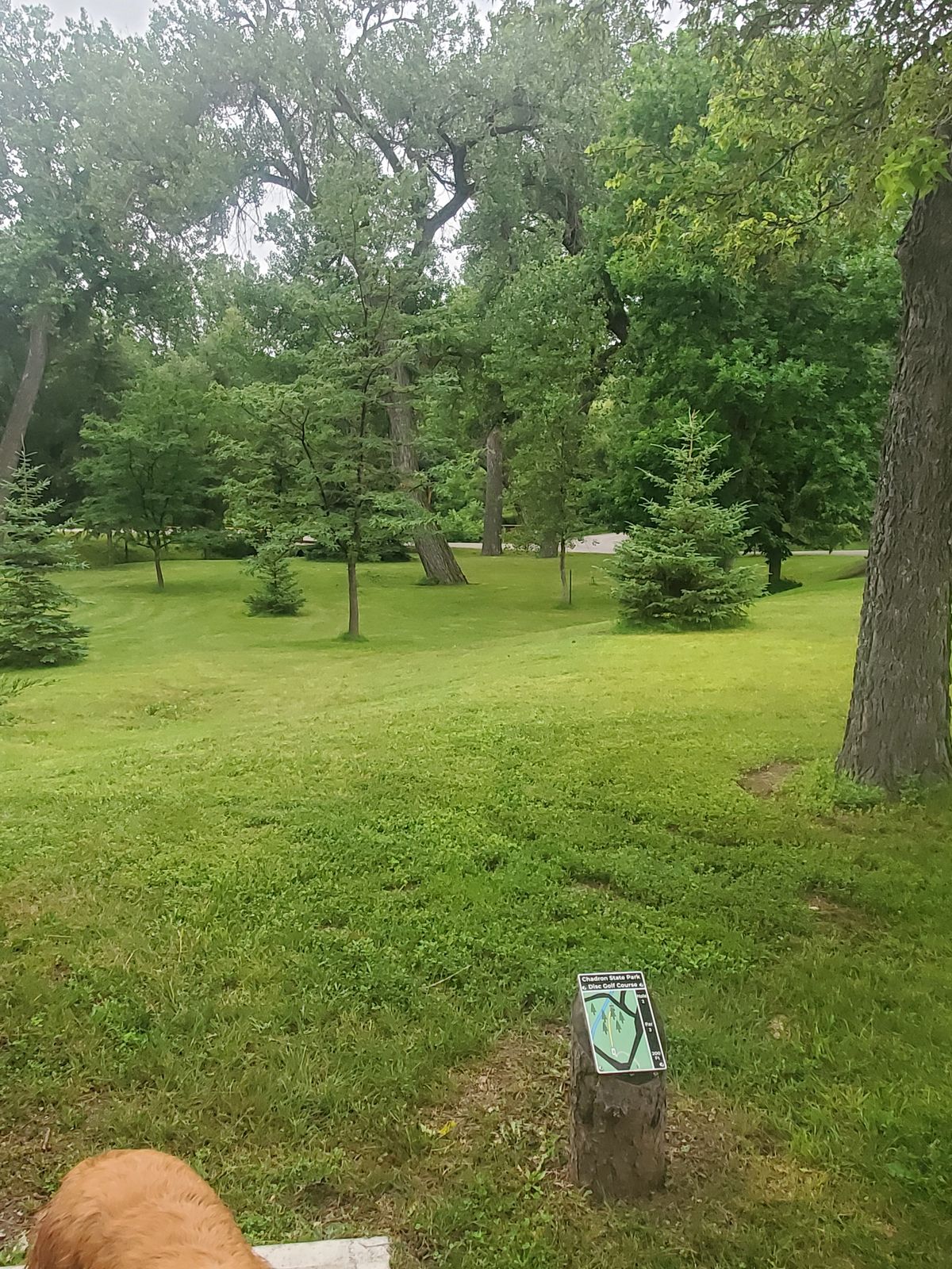 Hole 2