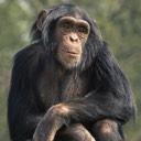 User avatar image