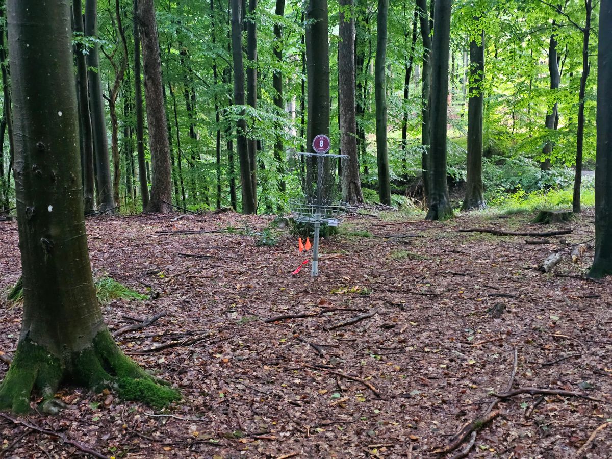 Hole 8