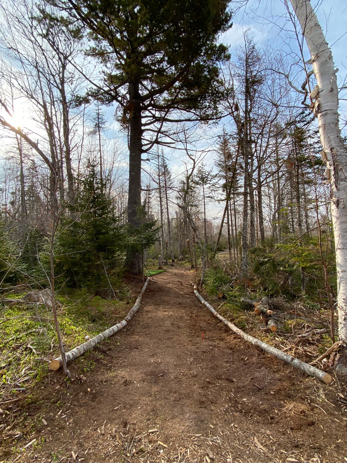 Path between hole 3’s green and hole 4’s tee.