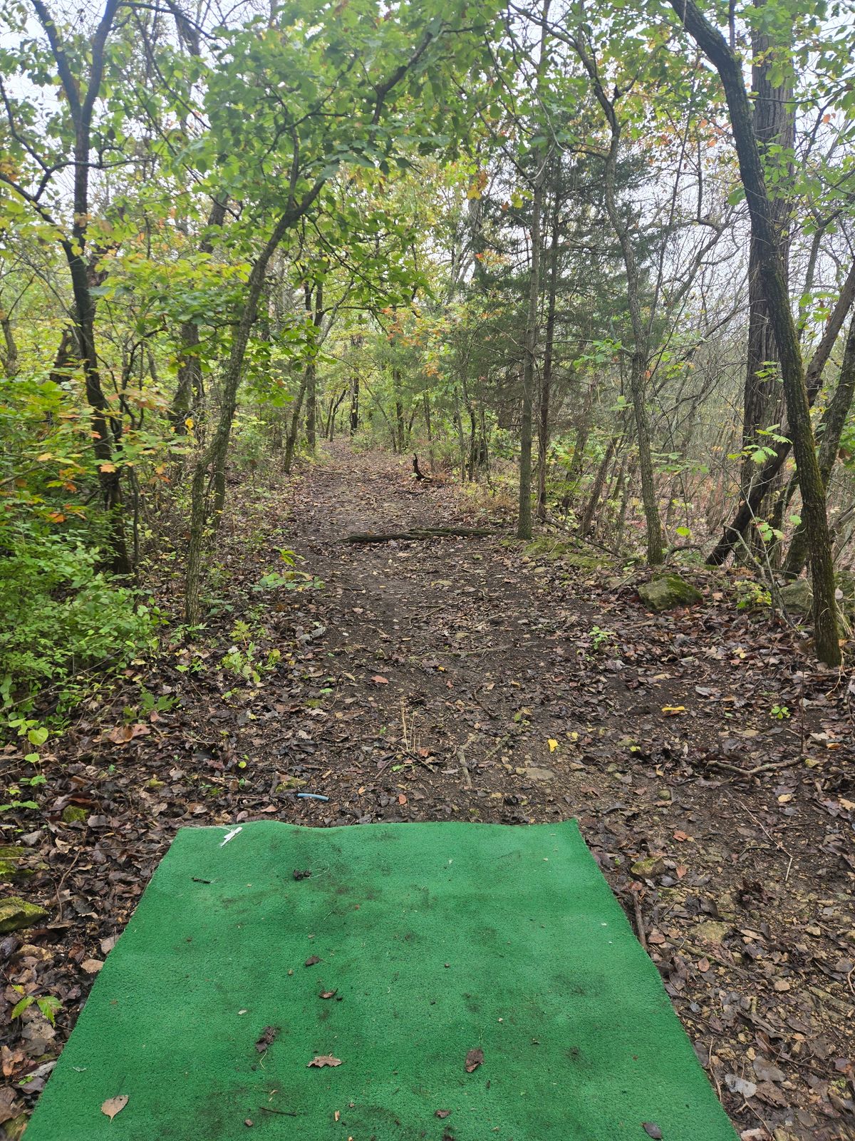 Hole 7