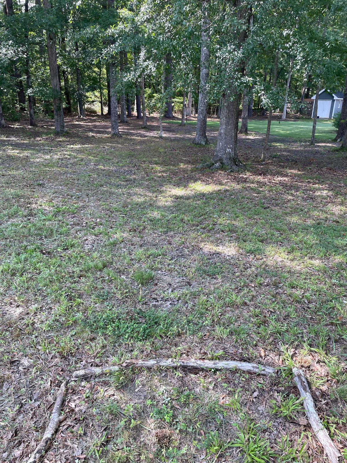 Hole 13
