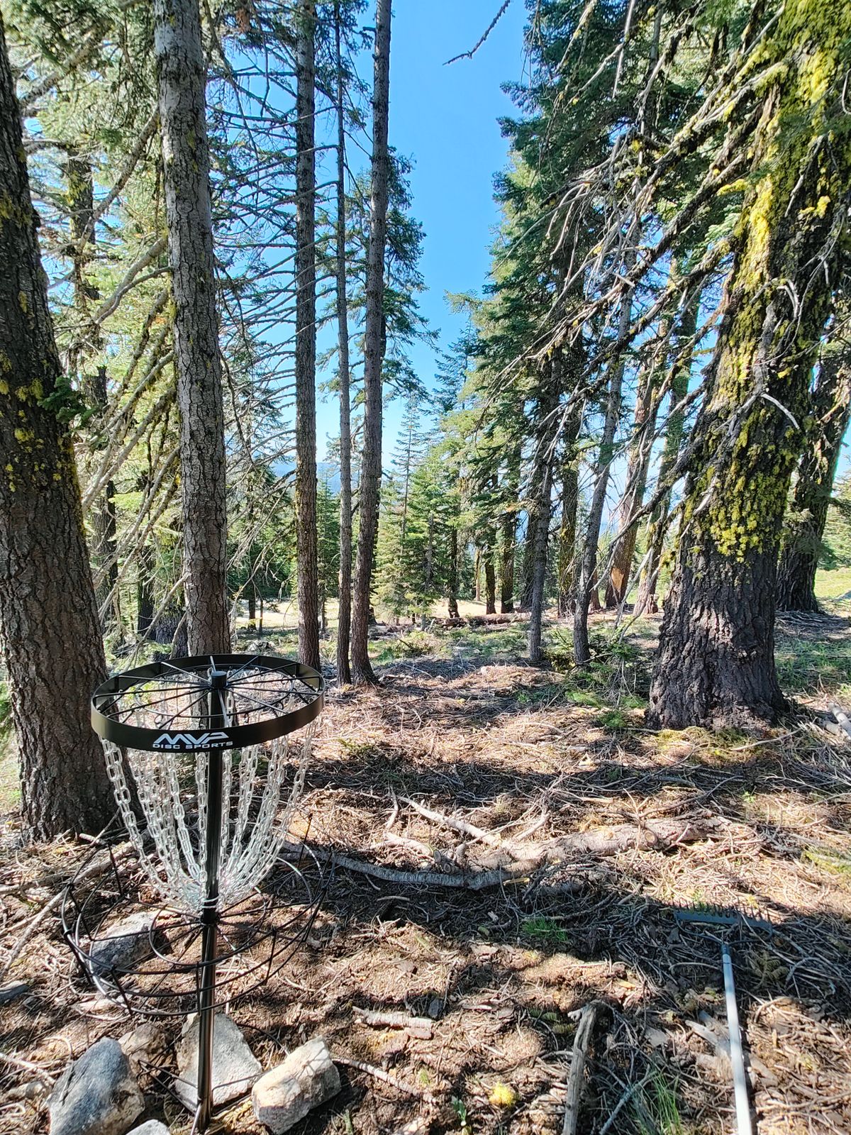 OLD Basket 7