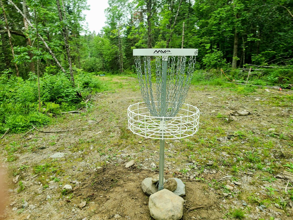 Hole 4 Basket to Teepad look