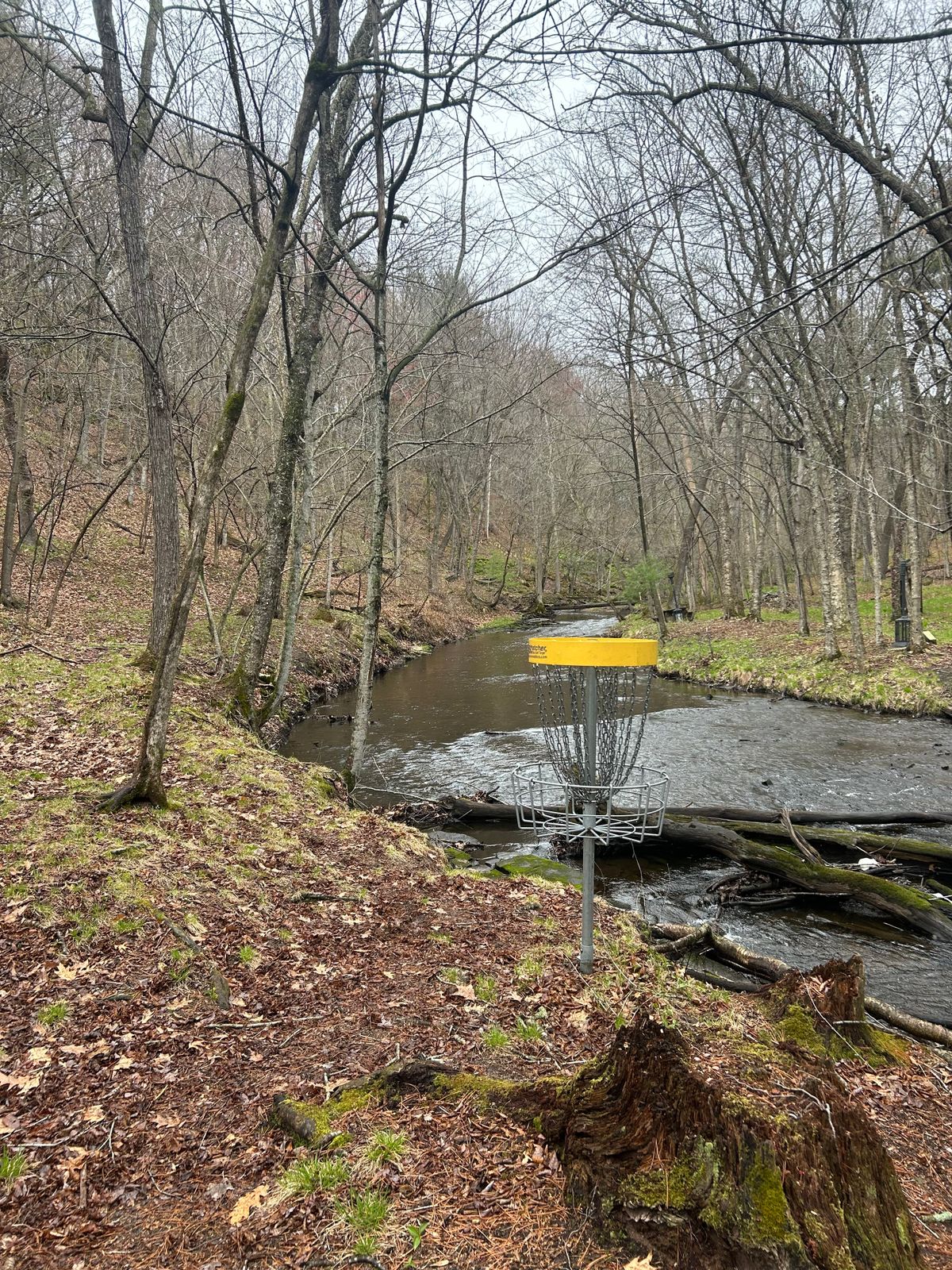 7s basket with creek in background