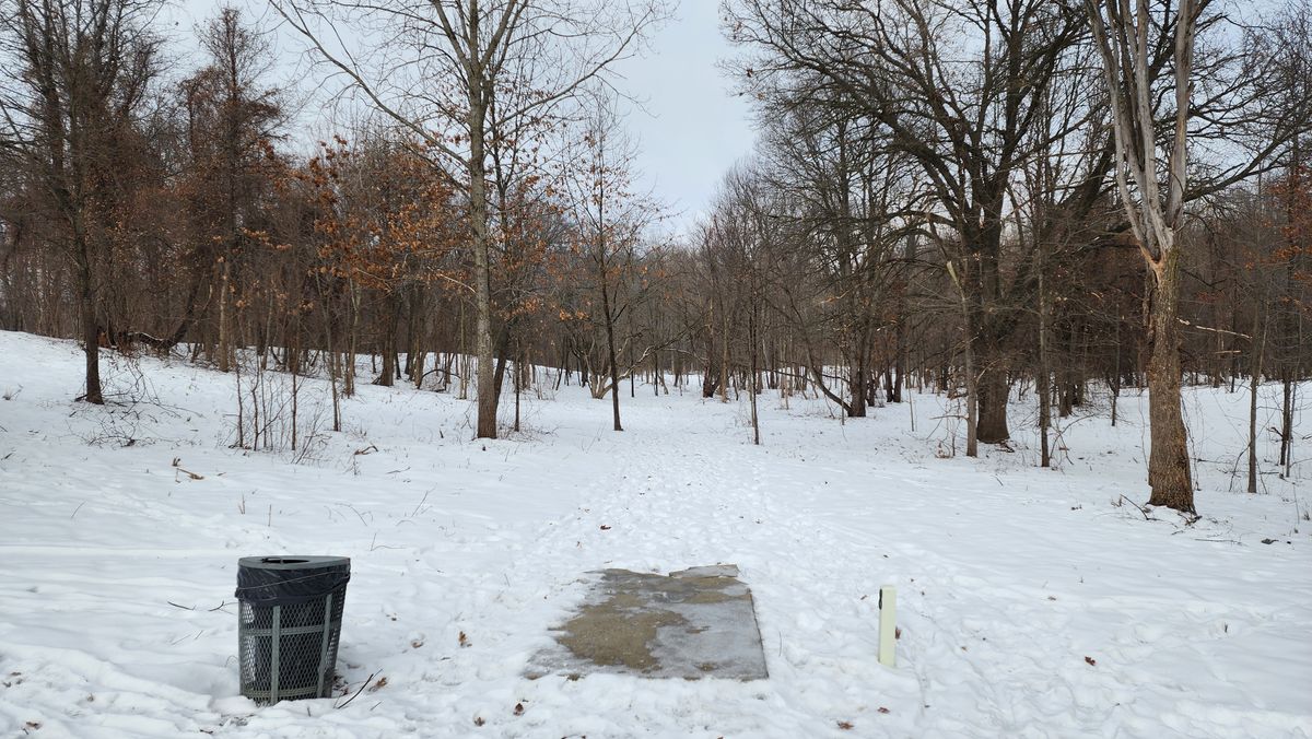 Hole 8 short, January 2025 hole
