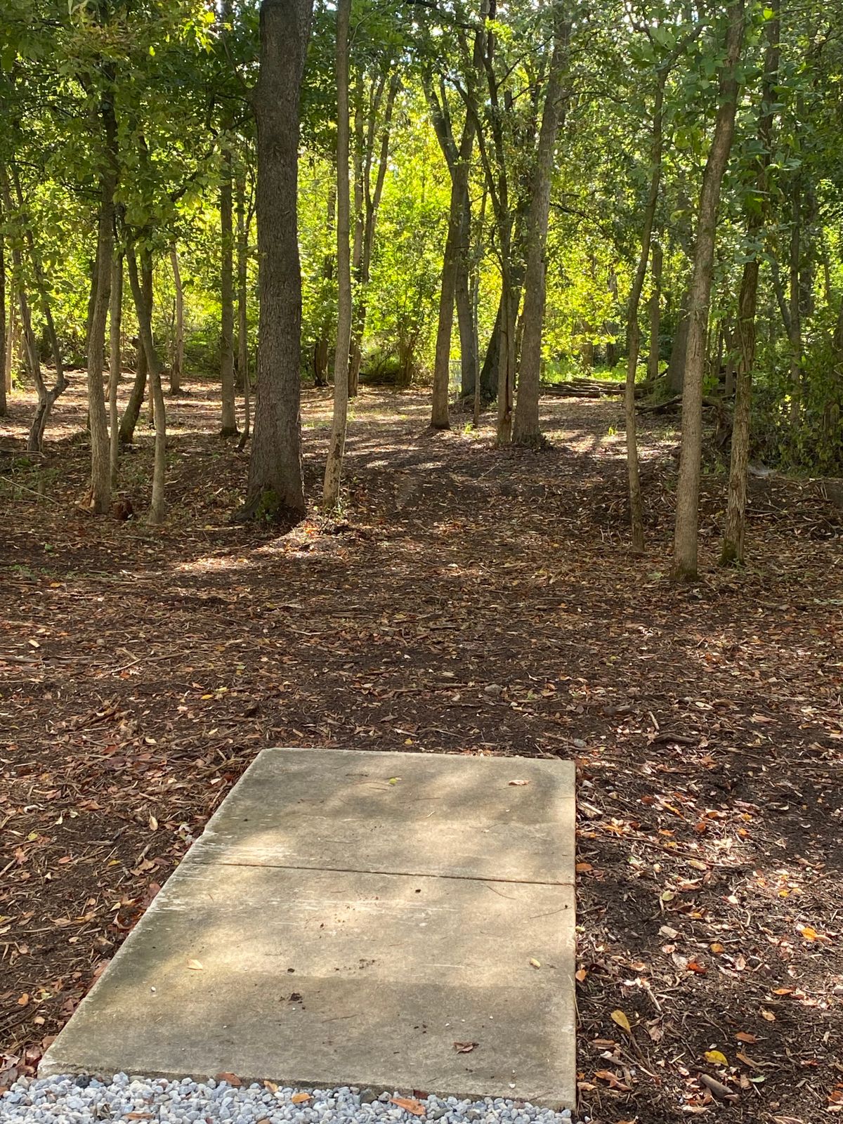 New hole 11