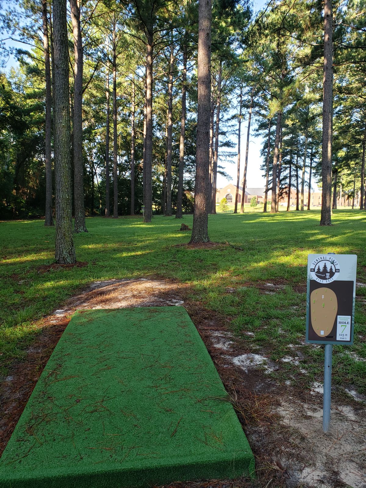 #7 Tee-Pad and Fairway