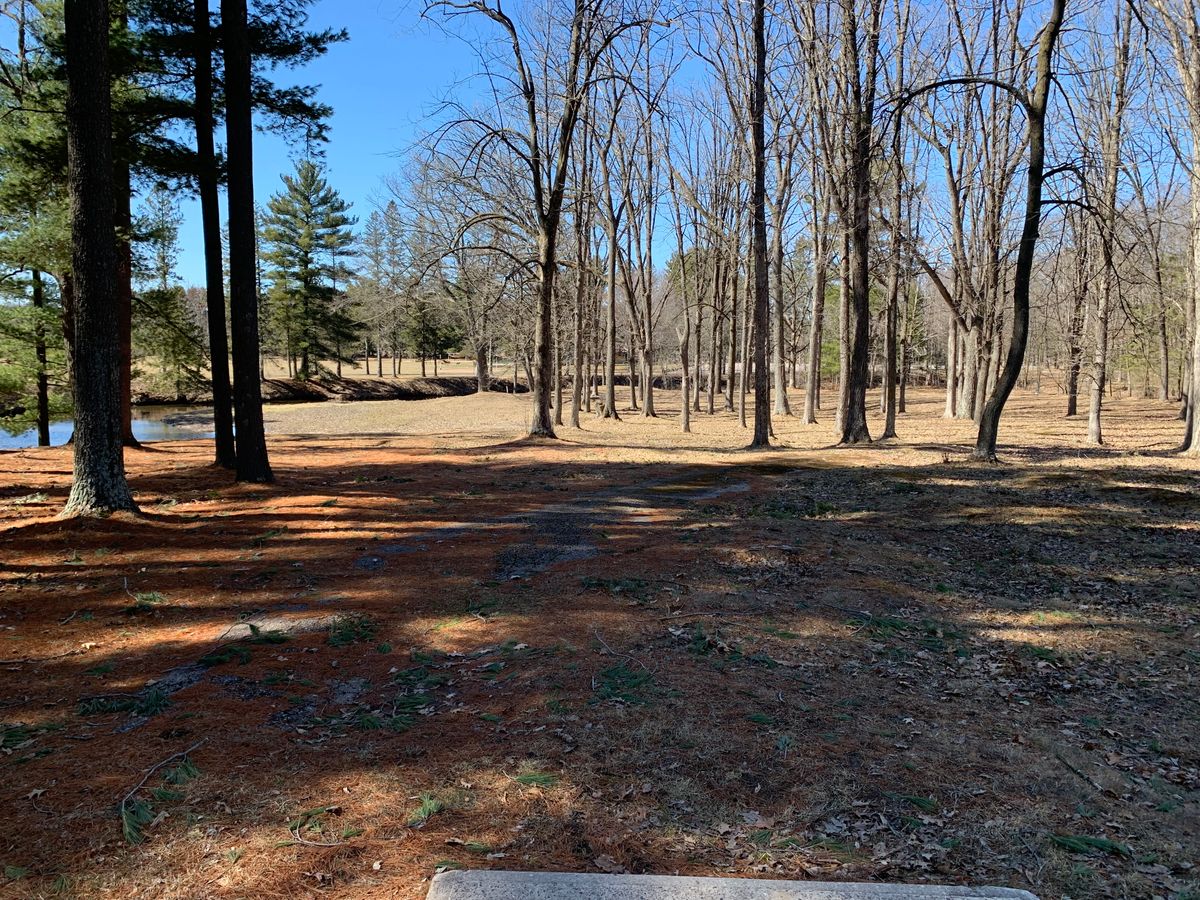 Hole 4 tee