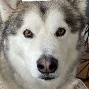 User avatar image