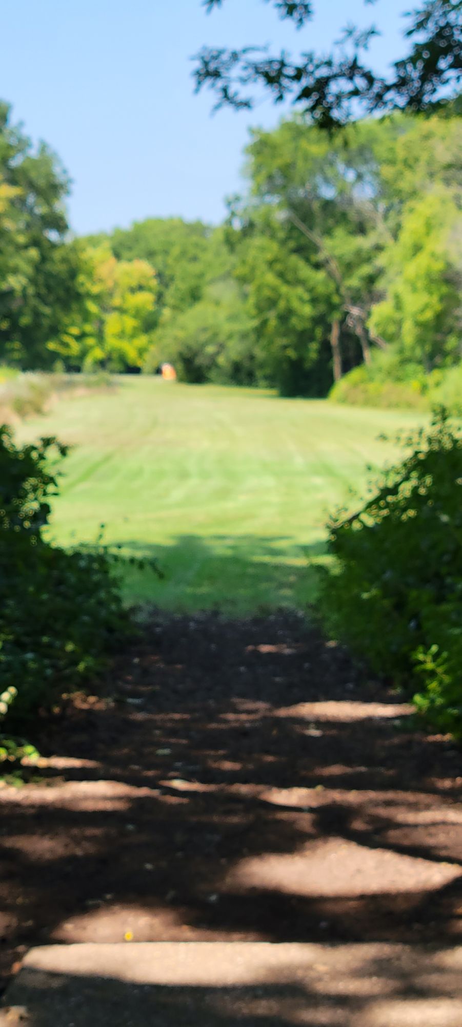 Hole 7