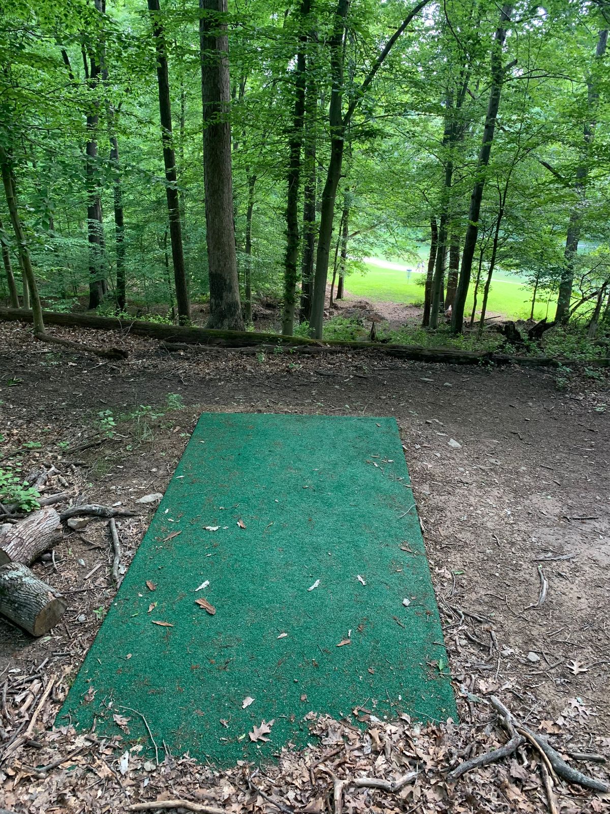 10.  1 of two wooded holes.