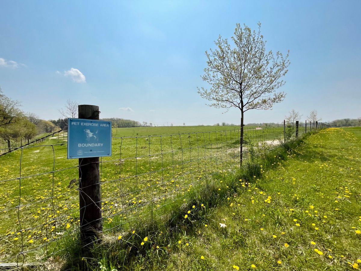Nearby Pet Exercise Area