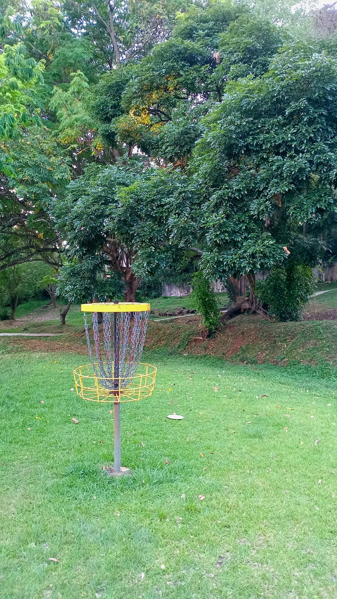 Parque Omar DG Course
Hole 13 Target