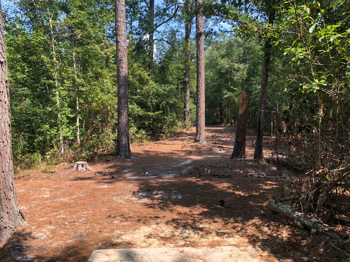 Hole 2 - Blue