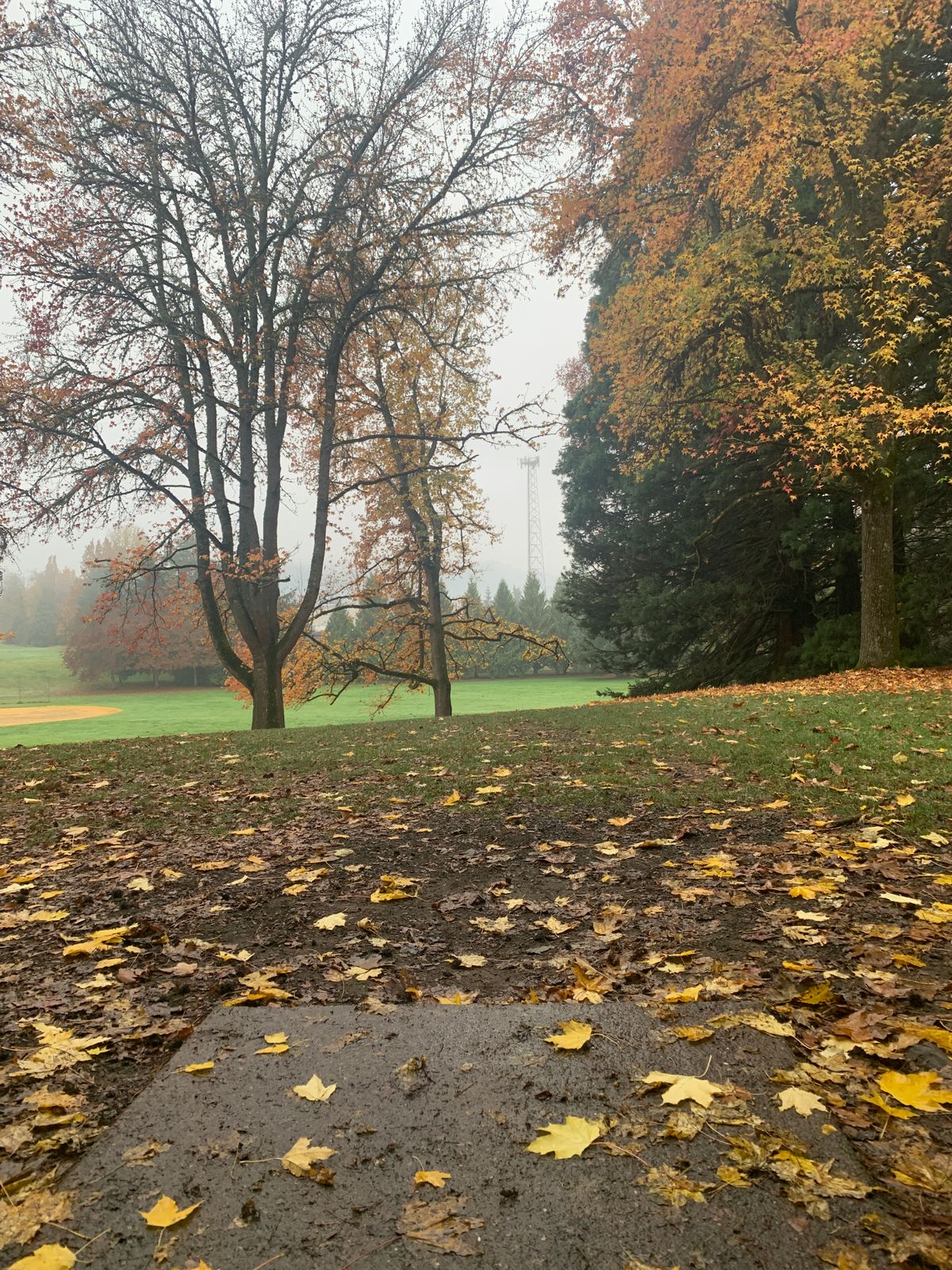 Tee pad 2