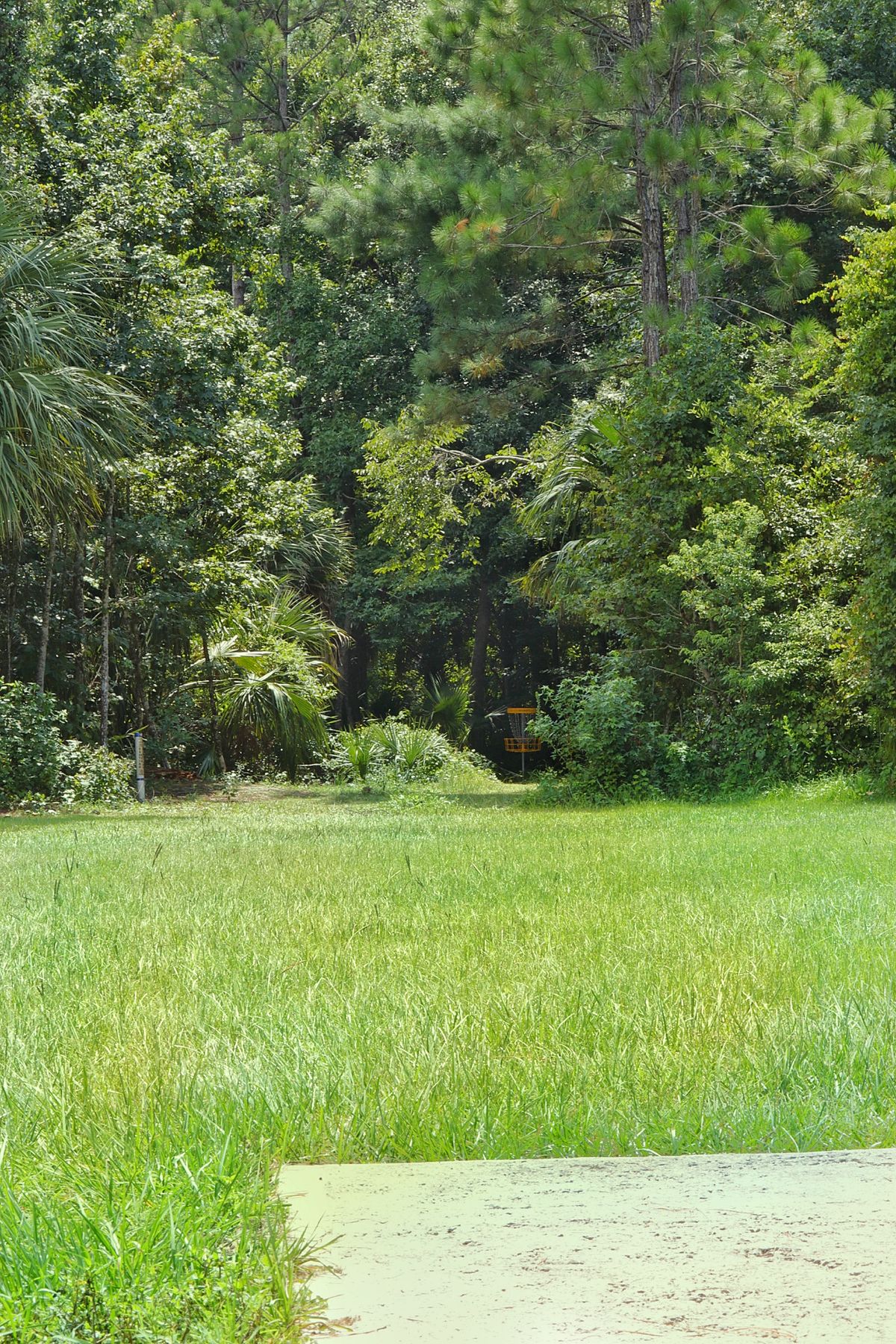Hole 16 long pin