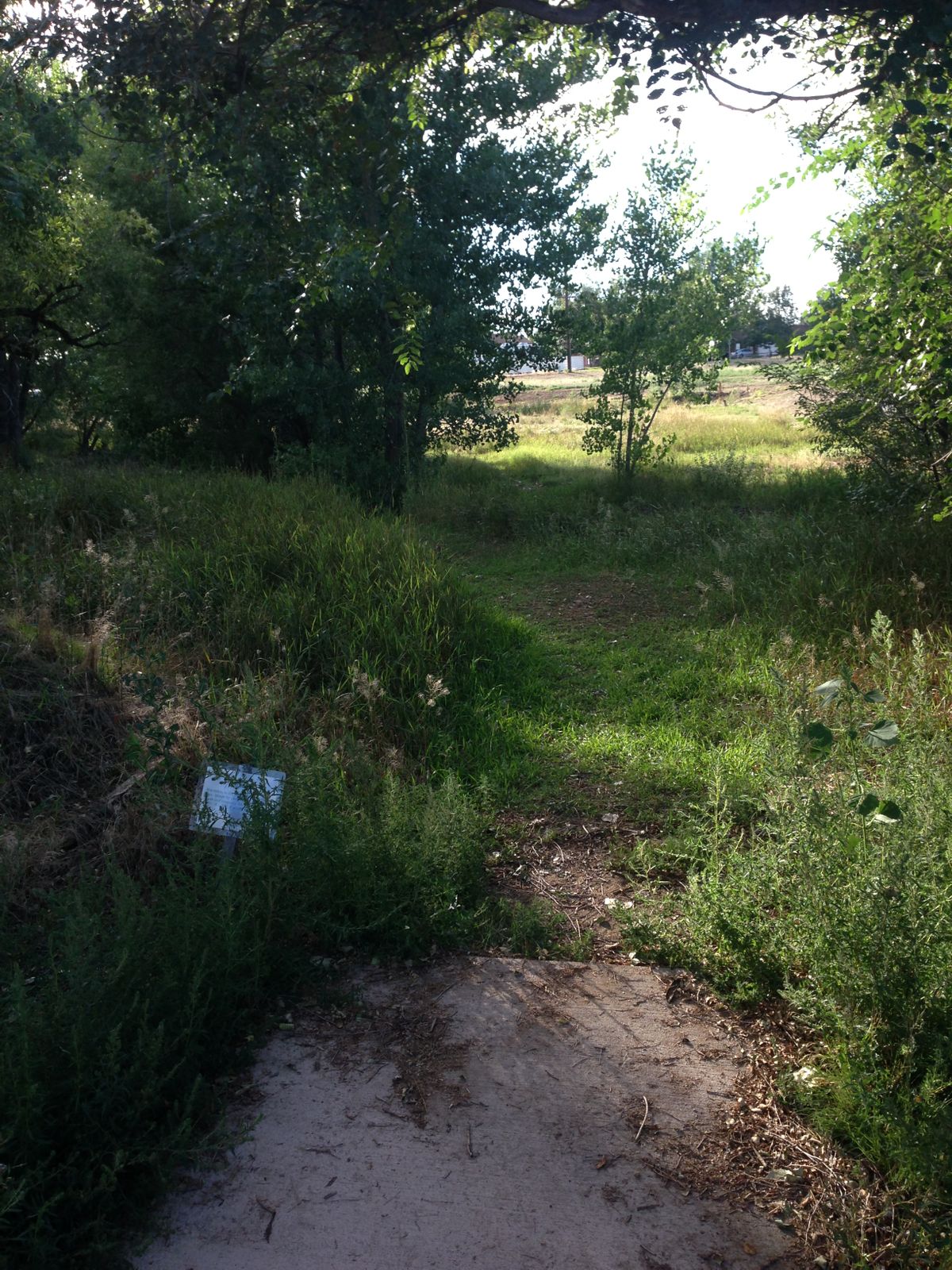 Hole 4