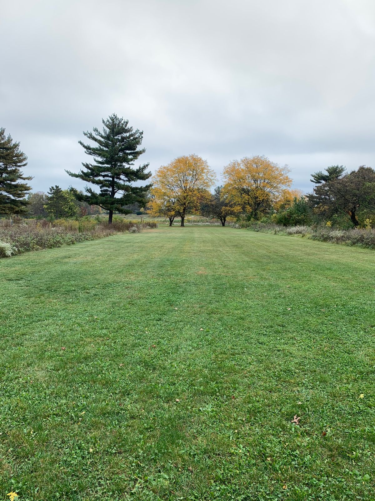Hole 5 Fairway