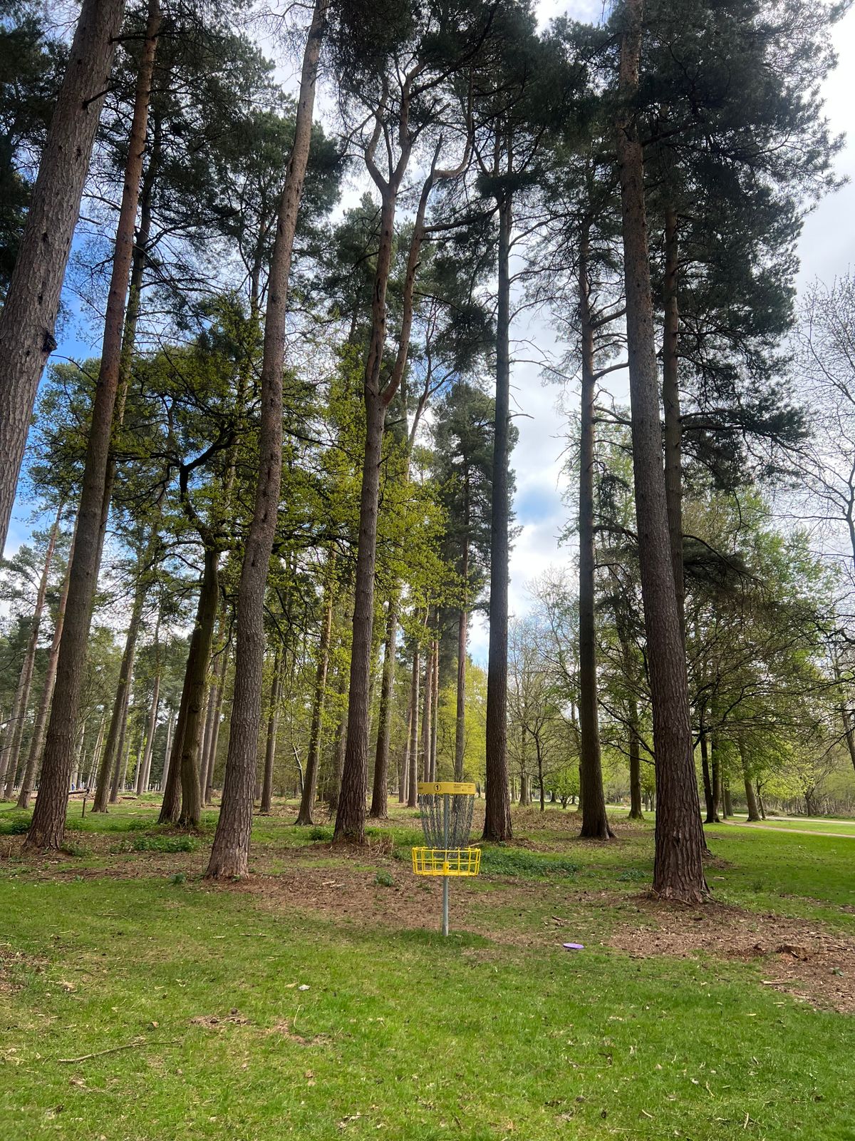 Hole 1 Basket