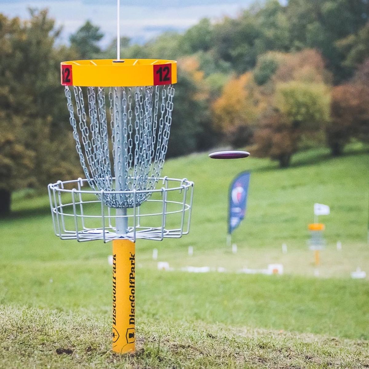 Hole 12 basket and hole 13 island.